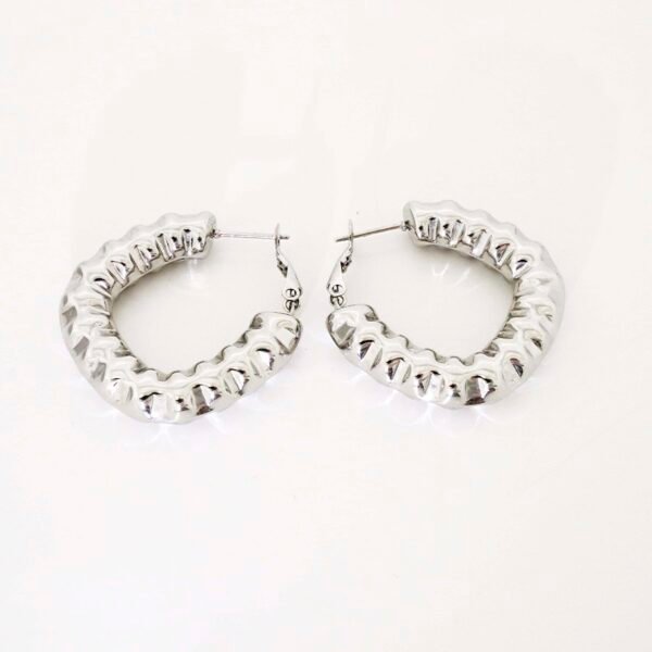 PENDIENTES ARO RIZADO